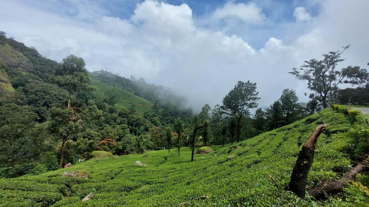 Haritha Homestay Munnar Kültér fotó